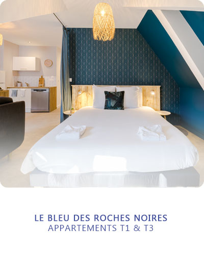 Découvrir les appartements Bleu des Roches Noires