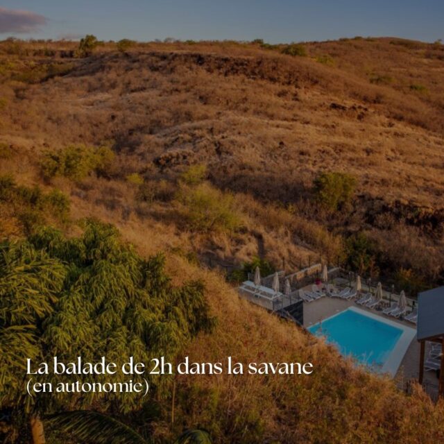 Paysage de savane avec piscine et zone de détente – activité autonome de 2h en pleine nature