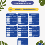 Planning des activités Family & Friends pour la semaine du 20 au 26 octobre 2025 à l'hôtel, comprenant l'Aquagym et des jeux familiaux.