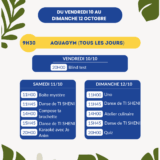 Planning des animations Family & Friends de l l'hôtel du vendredi 10 au dimanche 12 octobre, incluant l'Aquagym et des jeux de soirée.